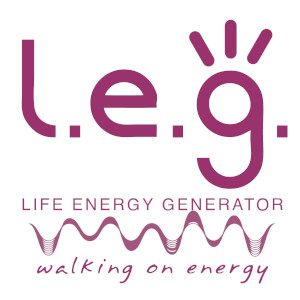logo LEG tesla plate