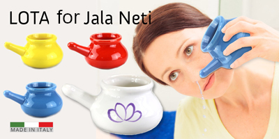 neti lota for jala neti