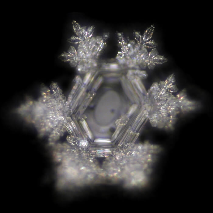 Devajal Classic Inox